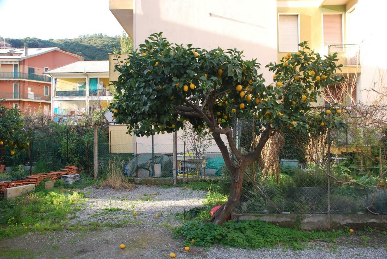 Palmaria Apartment เดวามารีนา ภายนอก รูปภาพ